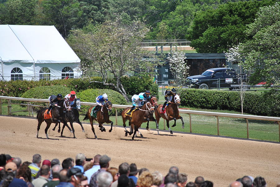 At the Races at Oaklawn Park Race Track Photograph by Regina Strehl ...