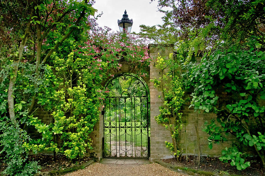 At the secrete gate to the garden. Photograph by Elena Perelman