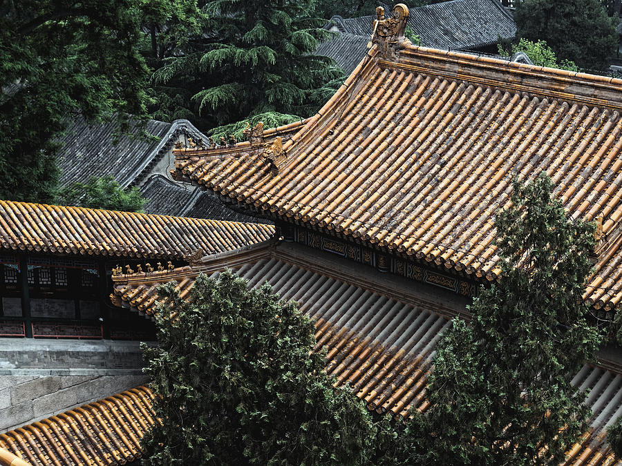 Roofscape, Beijing 2011 by Chris Honeyman Roofscape, Beijing 2011 by Chris Honeyman