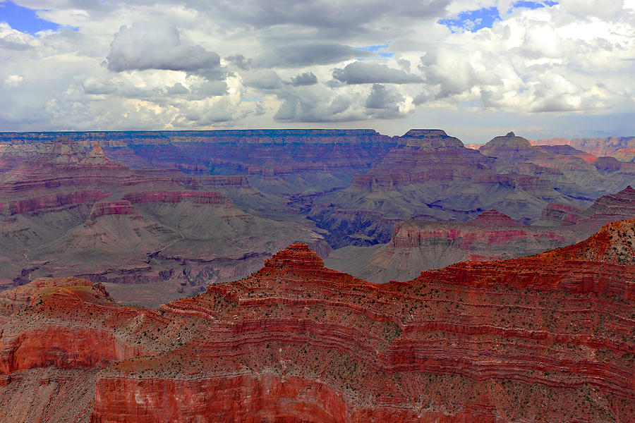 Grand Canyon National Park Photograph - At The Top Point by Iryna Goodall
