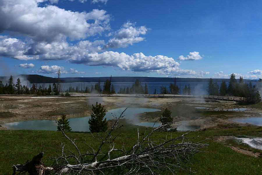 At Yellowstone Lake - The West Thumb Area Photograph by Christiane Schulze Art And Photography