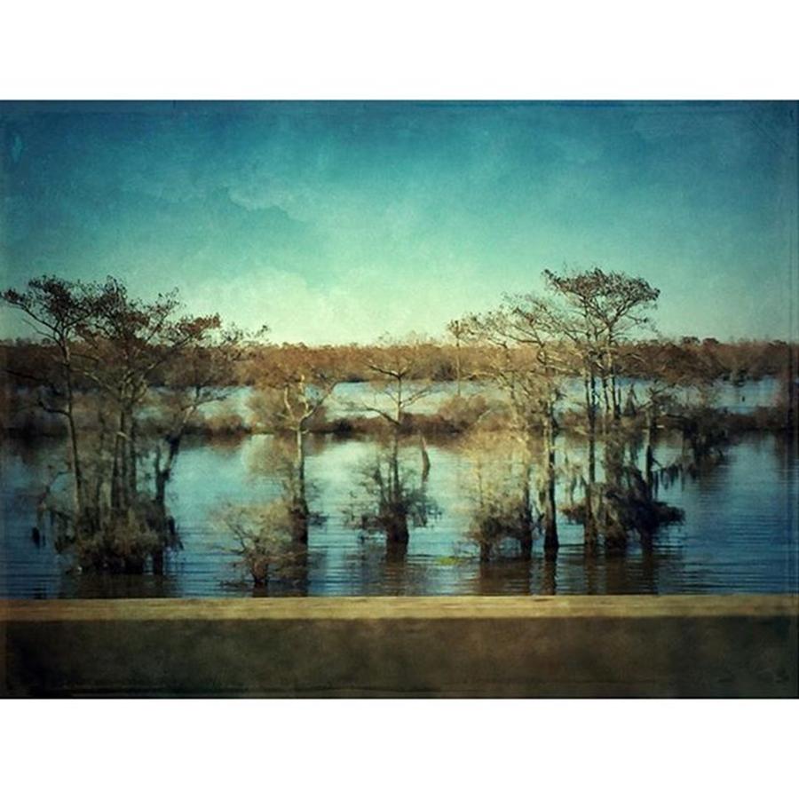 Swamp Photograph - Atchafalaya #louisiana  #swamp by Joan McCool