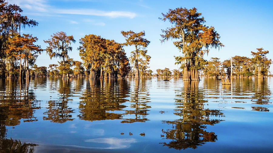 Atchafalaya Swamp 2 Louisiana Photograph by Lawrence S Richardson Jr