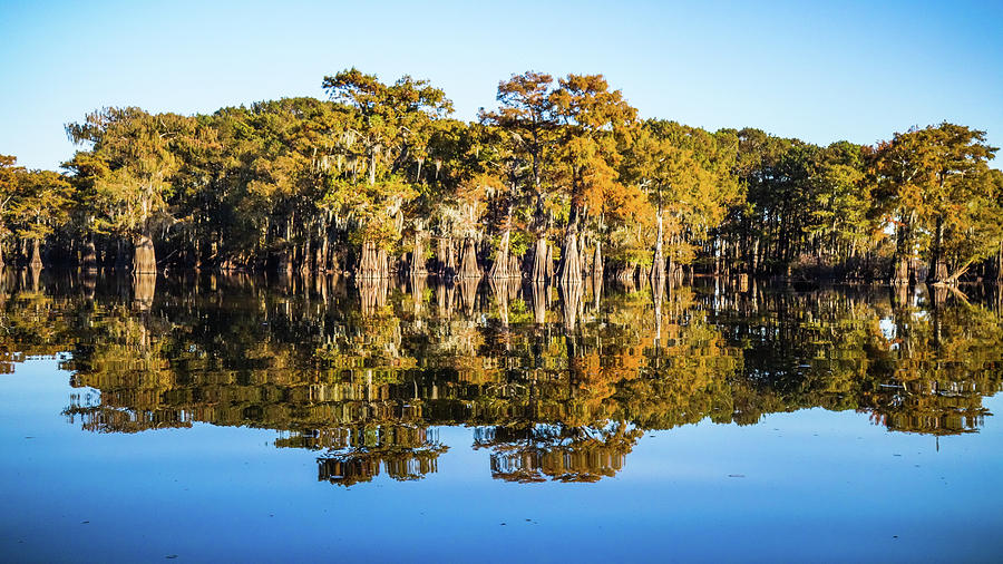 Atchafalaya Swamp 5 Louisiana Photograph by Lawrence S Richardson Jr