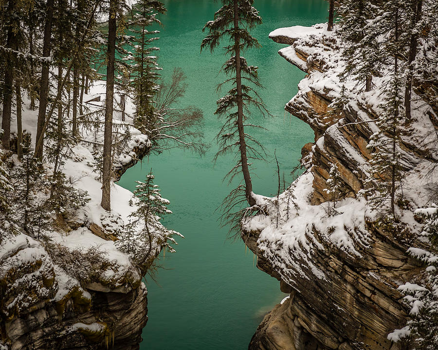 Athabasca Art Photograph by Gary Migues