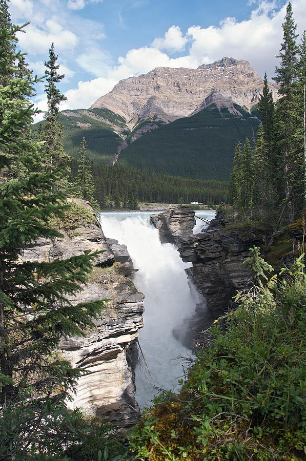 Athabasca Falls Photograph by David Kleinsasser