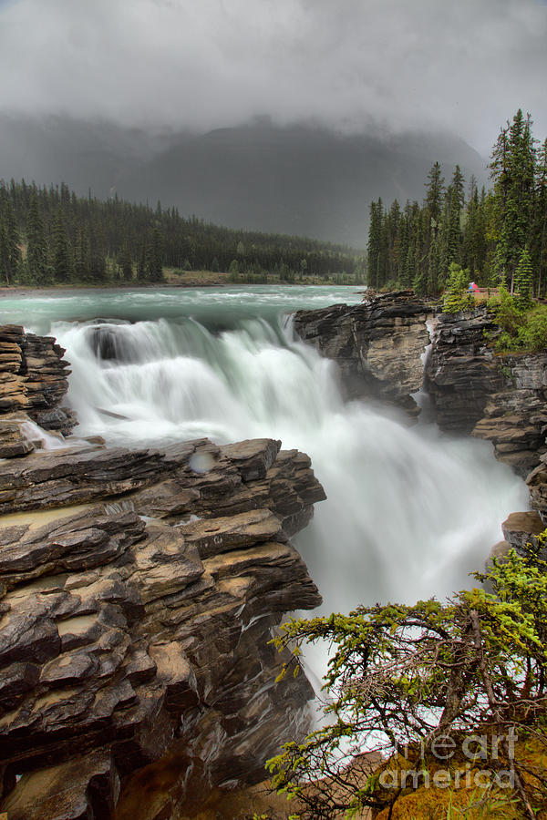 Athabasca Falls In The Rain Photograph by Adam Jewell