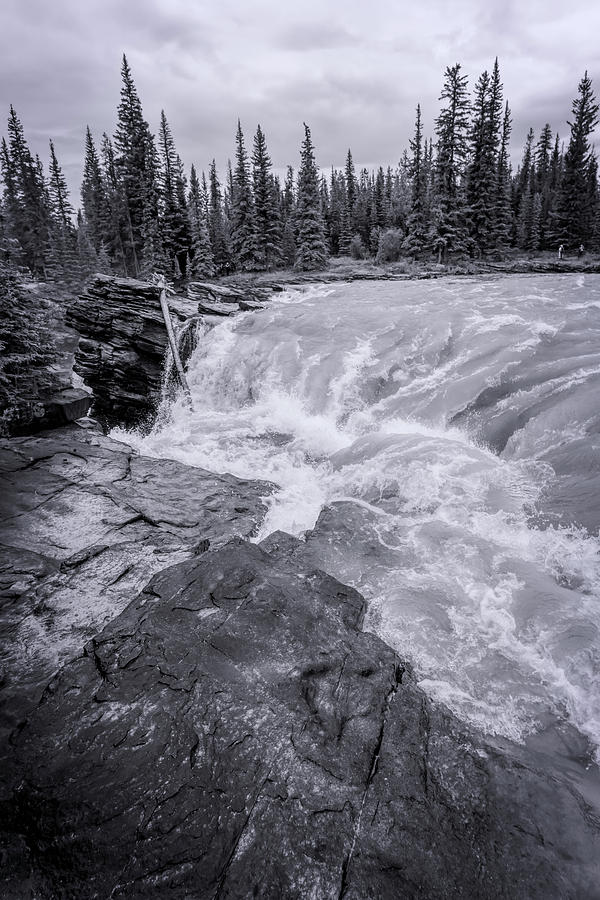 Waterfall Photograph - Athabasca Falls Jasper National Park BW by Joan Carroll