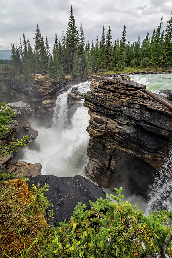 Banff National Park Photograph - Athabasca Falls Jasper National Park by Joan Carroll