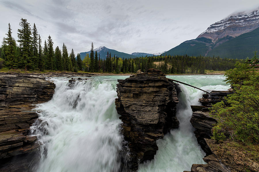 Athabasca Falls Photograph by Nebojsa Novakovic