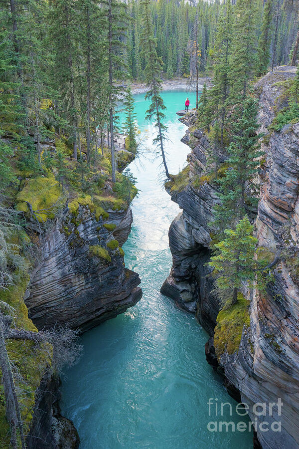 Athabasca Falls on Icefields Parkway in Jasper Canada Photograph by ...