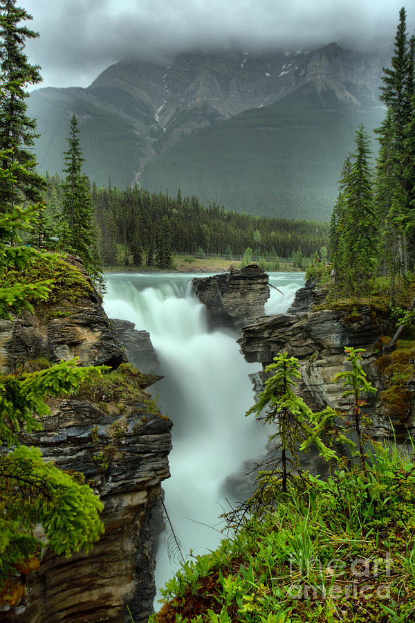 Athabasca Falls Spring Portrait Photograph by Adam Jewell