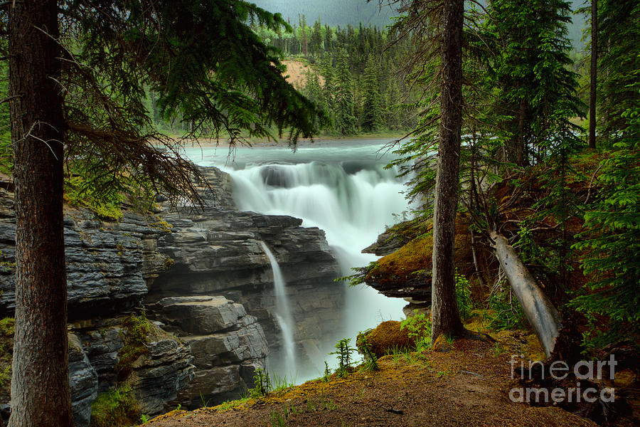 Athabasca Falls Through The Forest Photograph by Adam Jewell