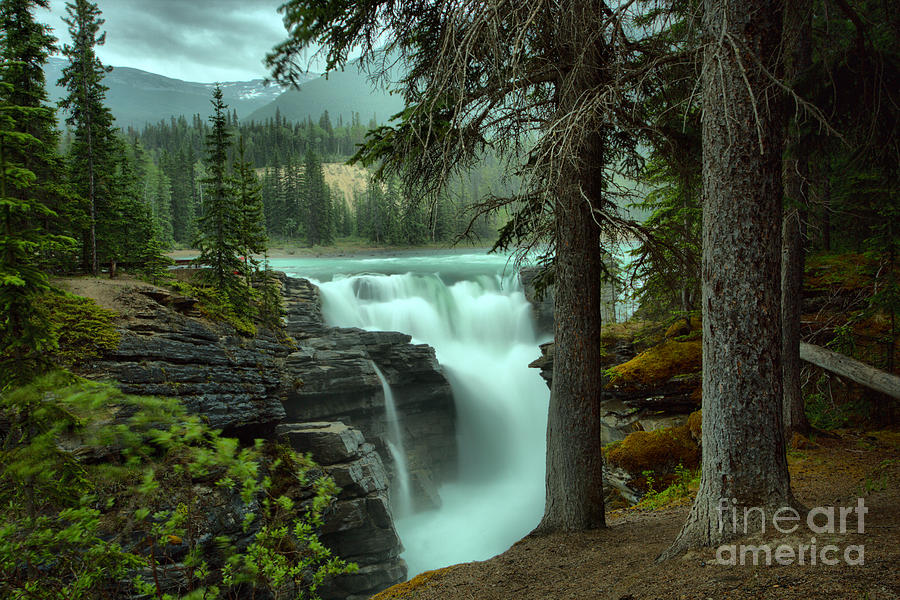 Athabasca Falls Through The Trees Photograph by Adam Jewell