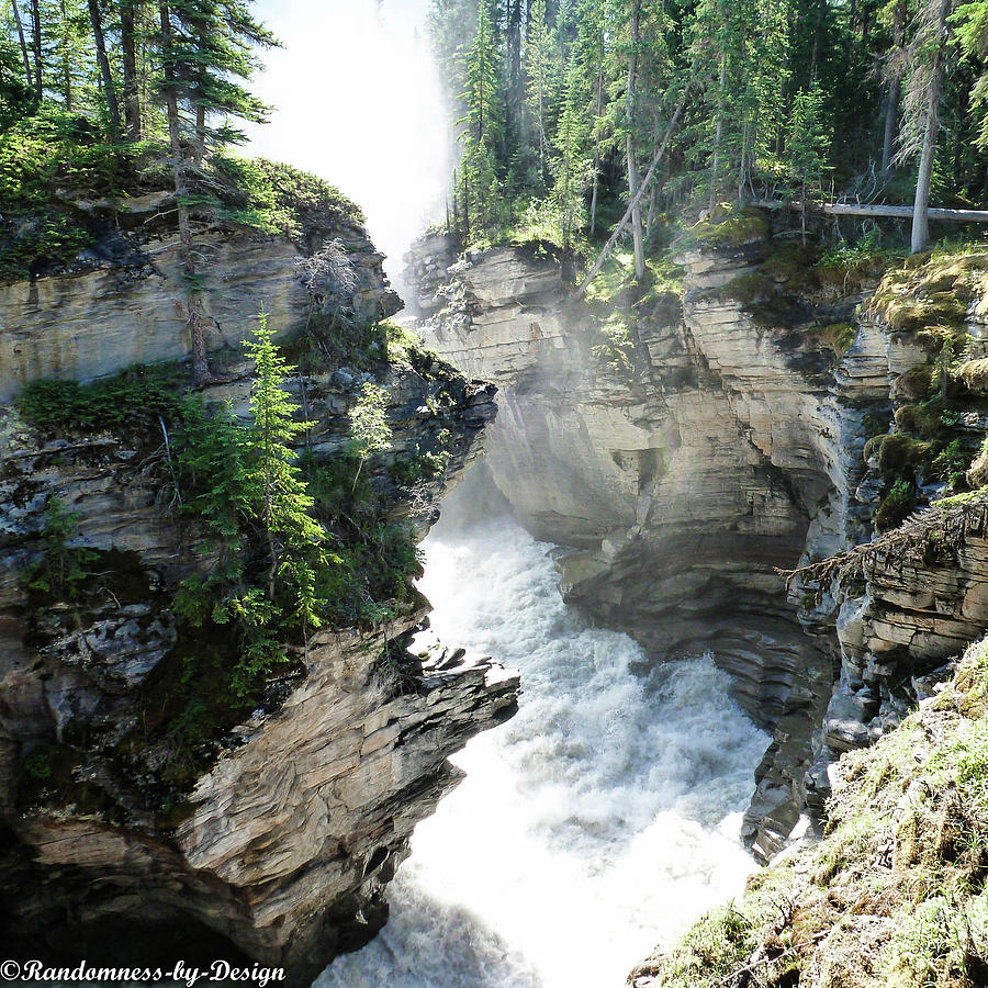 Athabasca Falls.1 Photograph by Susan Granrud