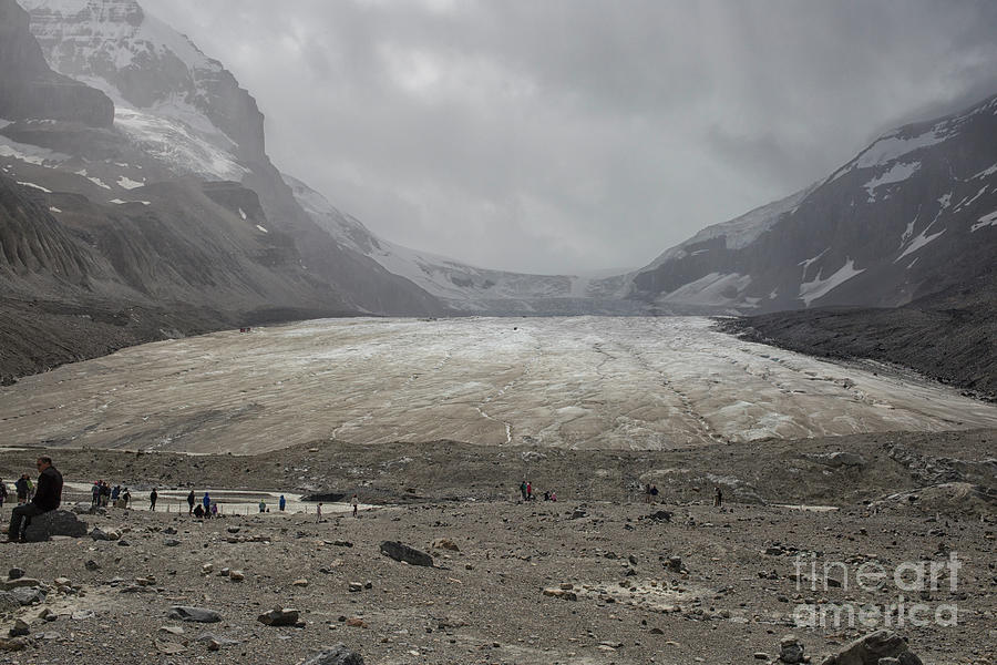 Athabasca glacier Photograph by Patricia Hofmeester