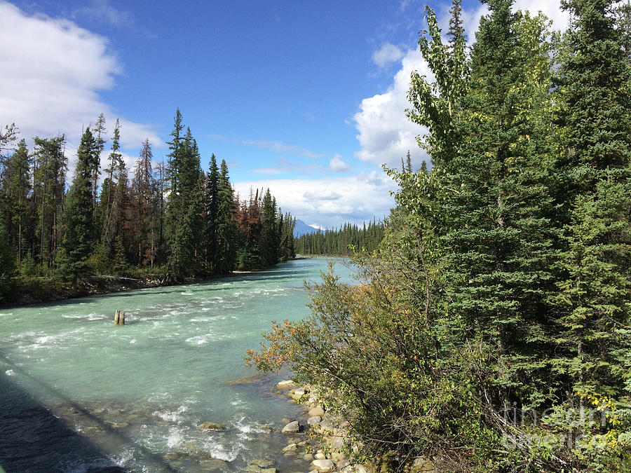 Athabasca River 3 by Patricia Gould Athabasca River 3 by Patricia Gould