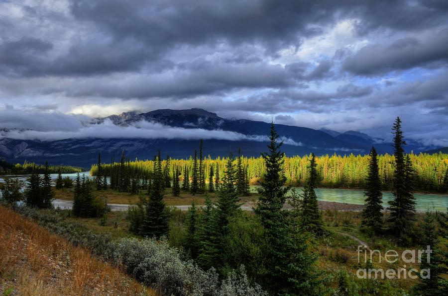 Athabasca River Basin Jasper National Park Photograph by Wayne Moran