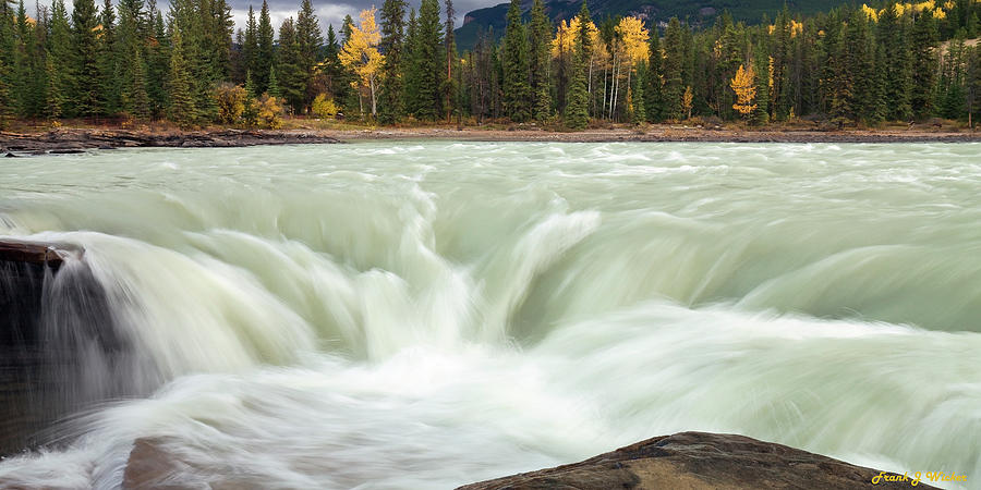 Mountain Photograph - Athabasca River by Frank Wicker