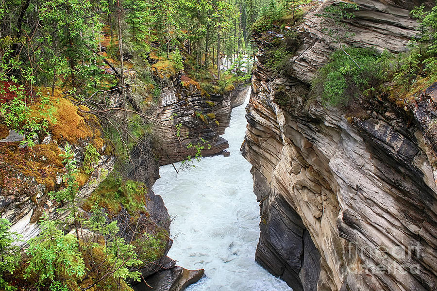 Athabasca River Gorge Photograph by Teresa Zieba