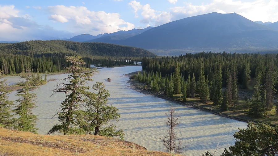 Athabasca River - Jasper by Hagen Pflueger Athabasca River - Jasper by Hagen Pflueger