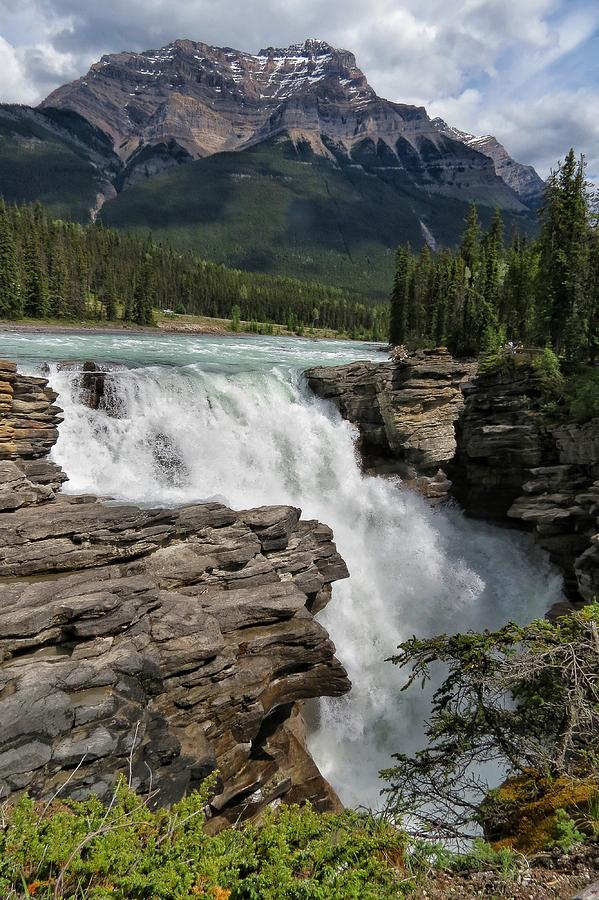 Athabasca Falls Photograph by Ross Kestin