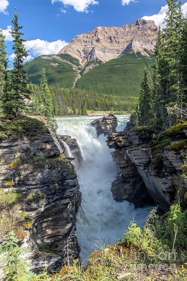 Jasper National Park Photograph - Athabaska Falls, Mt. Hardisty by Daryl L Hunter