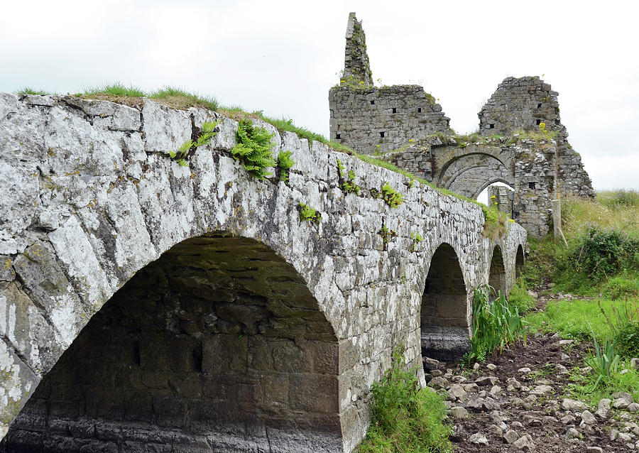 Athassel Priory Ireland Medieval Ruins Bridge and Gate Arches Photograph by Shawn OBrien