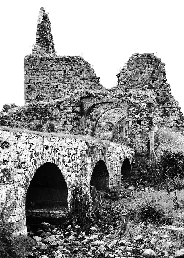 Athassel Priory Irish Medieval Abbey Ruins Bridge and Gatehouse Arches Tipperary Black and White Photograph by Shawn OBrien