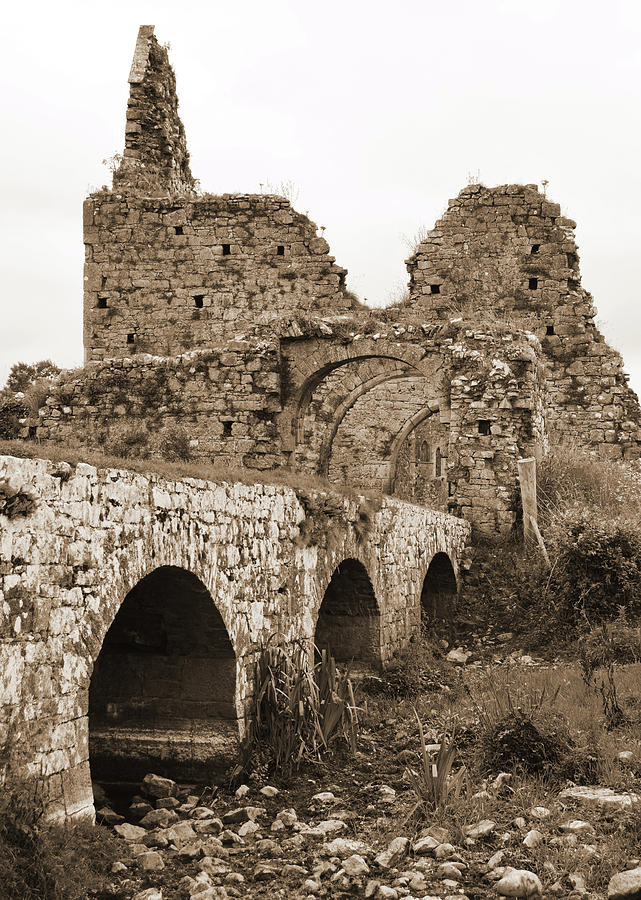 Athassel Priory Irish Medieval Abbey Ruins Bridge and Gatehouse Arches Tipperary Sepia Photograph by Shawn OBrien