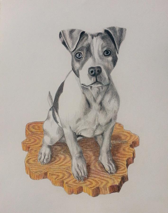 Dog Drawing - Athena by JoAnn Morgan Smith