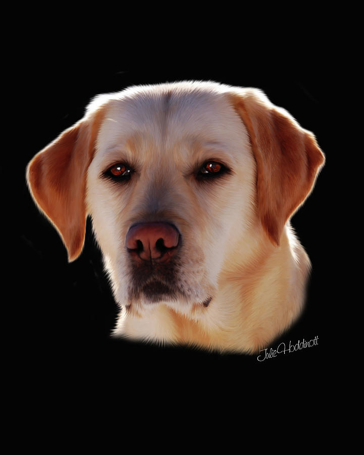 Dog Digital Art - Athena by Julie L Hoddinott