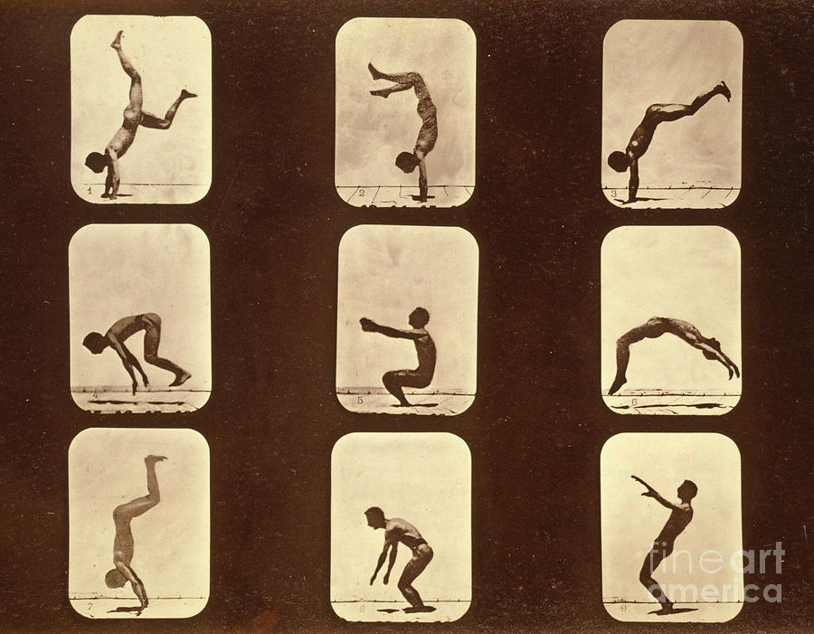 Black And White Photograph - Athletes by Eadweard Muybridge