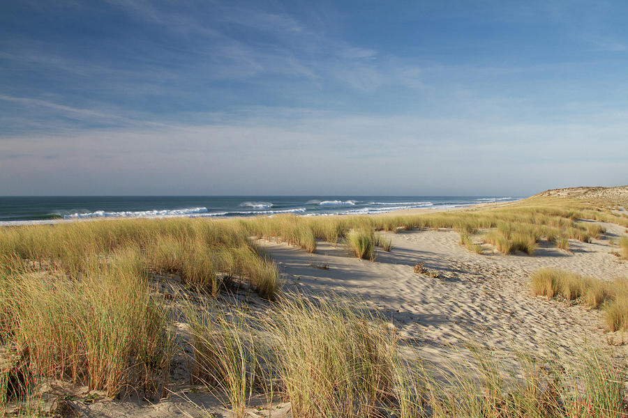 Atlantic Coast And Cap Ferret Photograph by I hope you'll like it