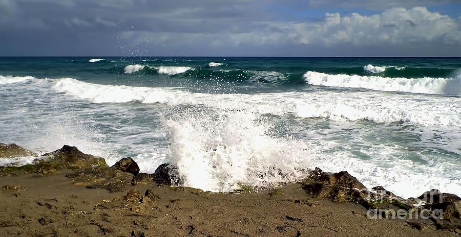 Atlantic Geyser Photograph by D Hackett