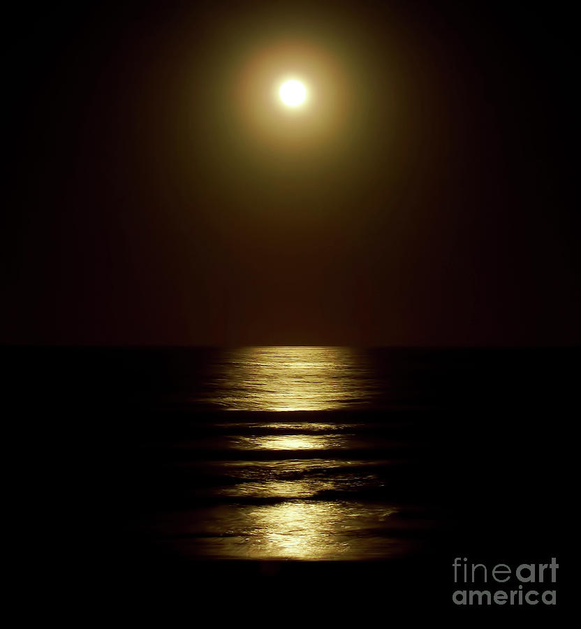 Atlantic Moon Shine Photograph by D Hackett
