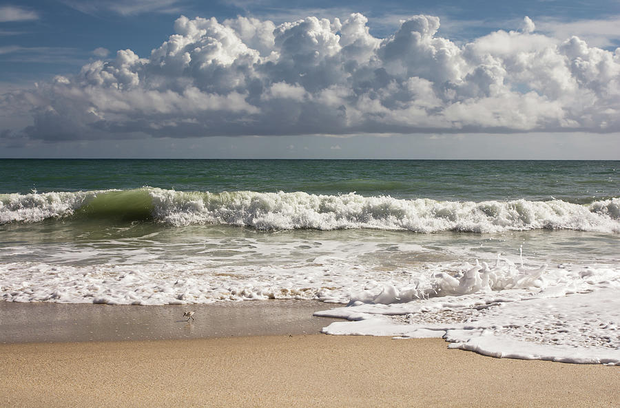 Atlantic ocean coastal scenery Photograph by Zina Stromberg - Pixels