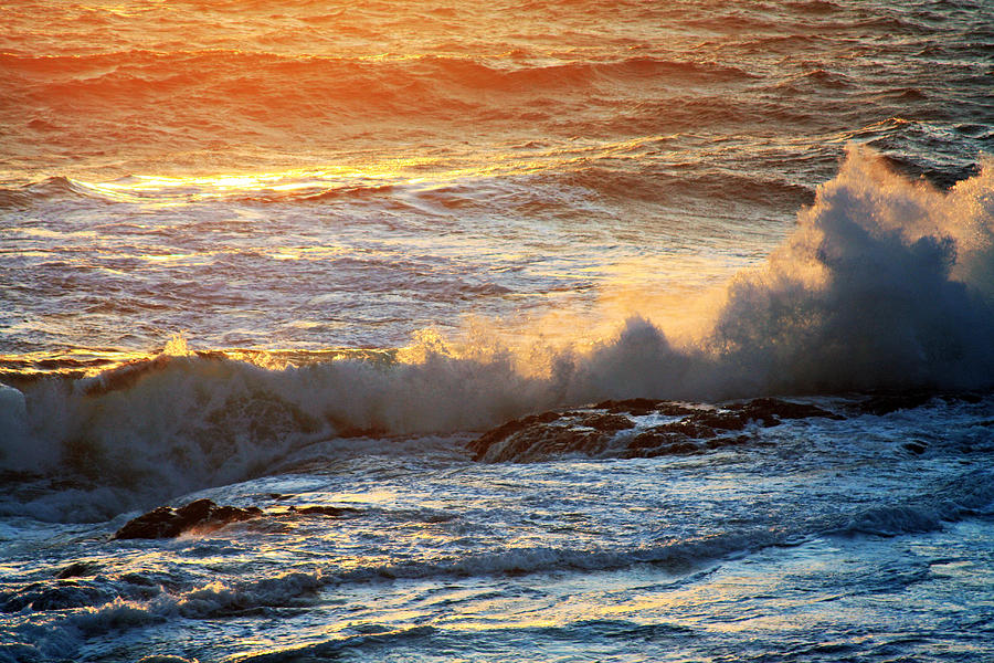 End Of The Day In Newfoundland Photograph by Tatiana Travelways