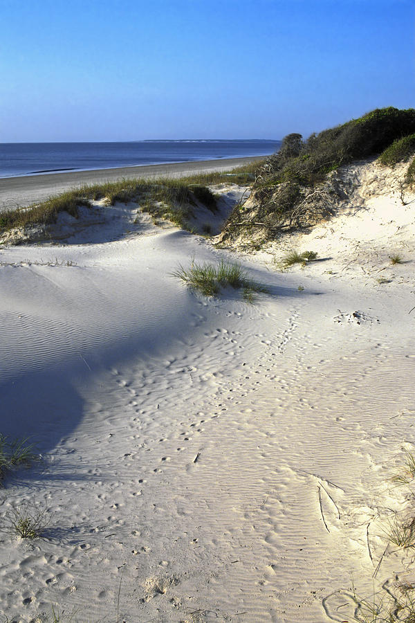 Nature Photograph - Atlantic Ocean Sand Dunes by Sally Weigand