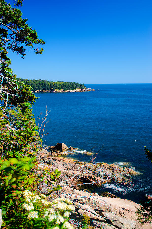 Atlantic Ocean Shoreline Acadia National Park Photograph by Douglas ...