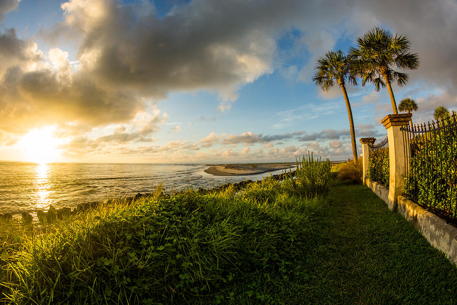 Atlantic Palms Sunrise Photograph by Chris Bordeleau