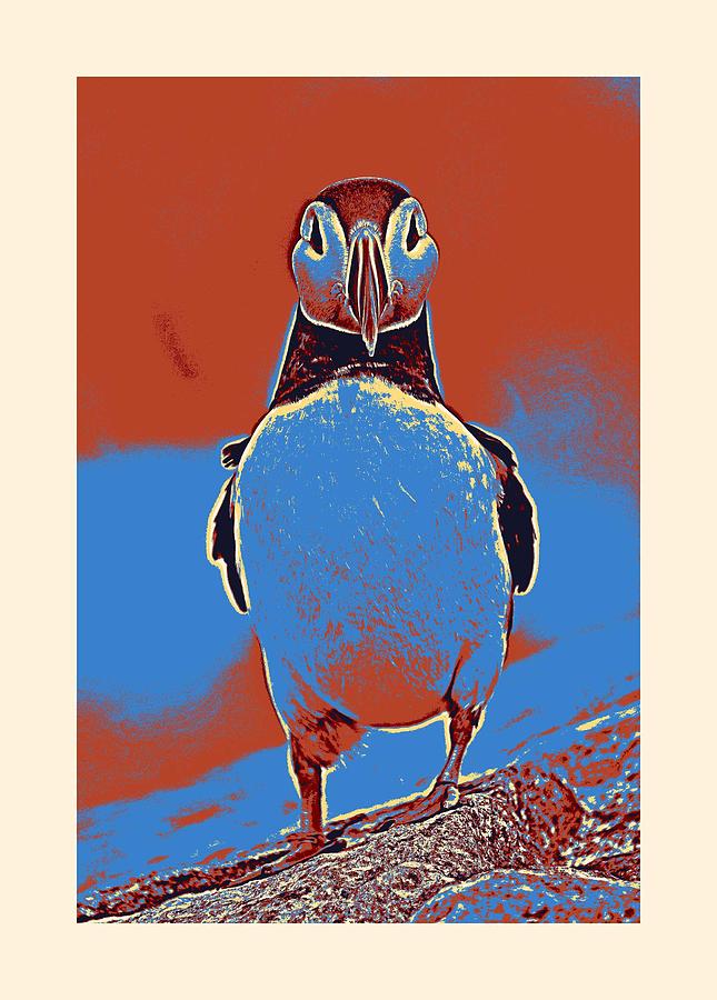 Atlantic Puffin 2c Painting by Celestial Images - Fine Art America