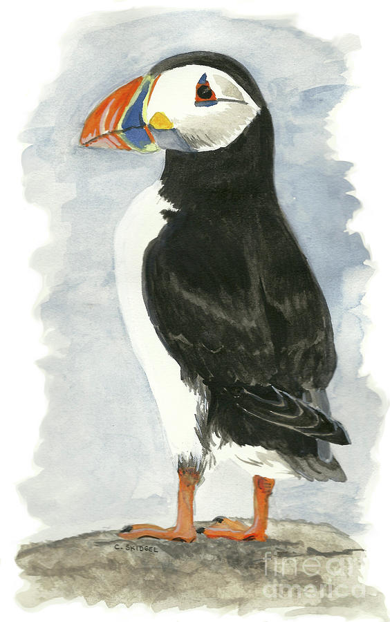 The Astonishing Atlantic Puffin – FanningSparks