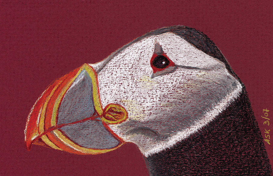 Atlantic Puffin Profile Drawing by Anne Katzeff