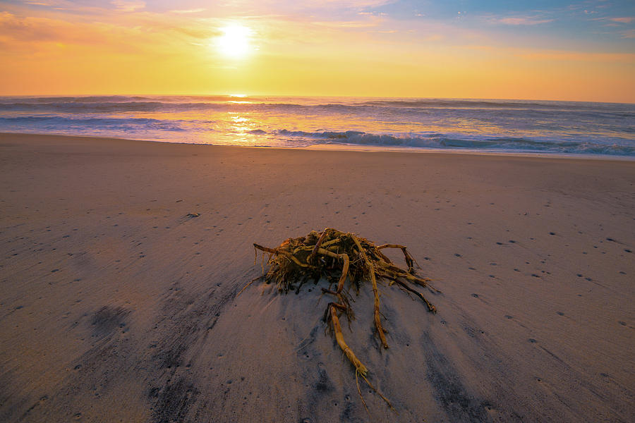 Atlantic Sunrise III Photograph by Steven Ainsworth