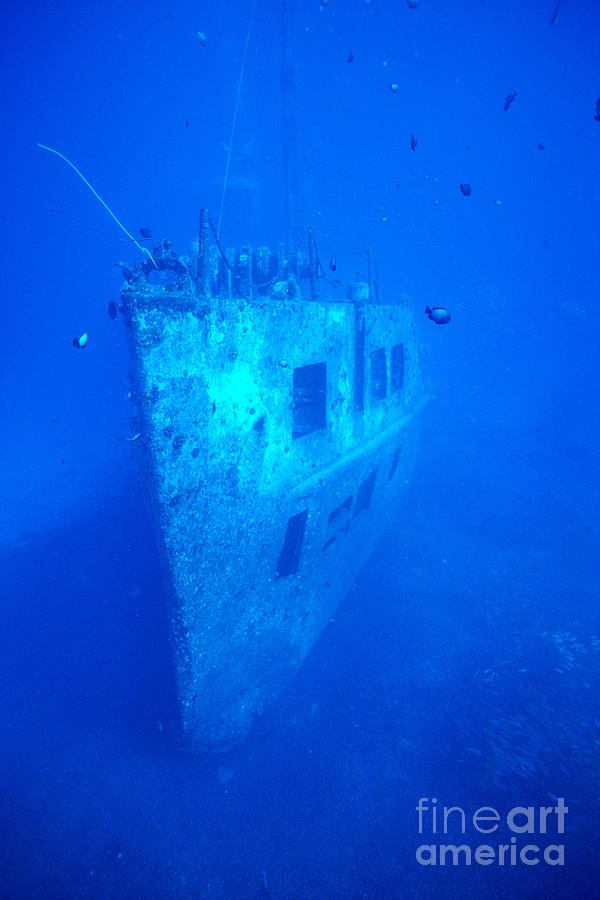 Atlantis Wreck Photograph by Bob Abraham - Printscapes