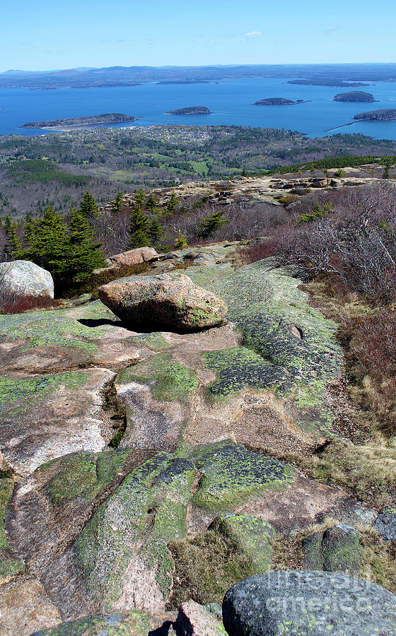Atop Cadillac Mountain Photograph by Skip Willits
