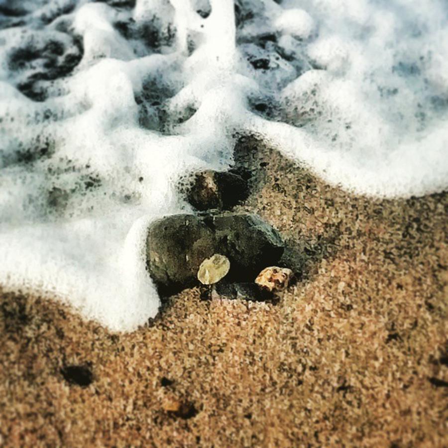 Beach Photograph - Attachments by Sandie Dixon Watkins