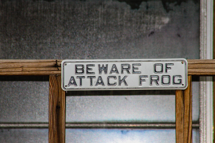 Attack Frog Photograph by Robert Hebert