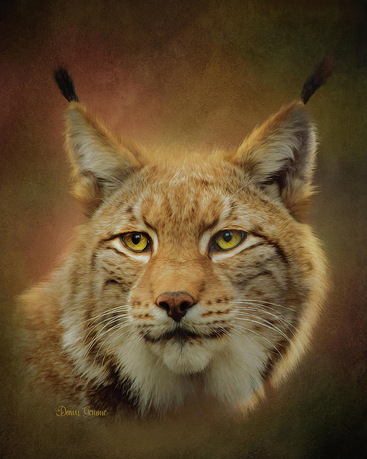 Attentive Lynx Painting by Dawn Gemme | Fine Art America